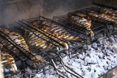 BBQ ateş ızgarasında dorado balığı pişirme işlemi. Tuğla kaplamalı ızgara Akdeniz ürünleri