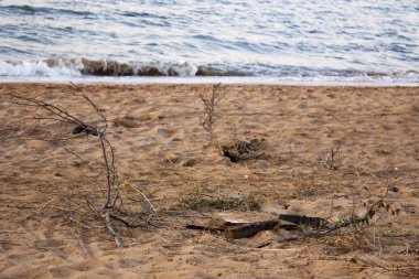 Sahilde dağınık çöp. Çevre kirliliği