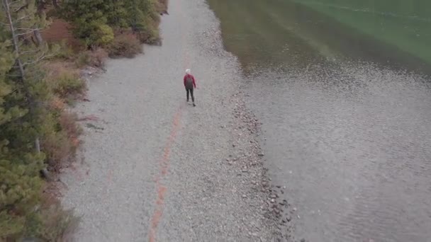 Mladá svobodná samice na břehu horského jezera. Výstřel dronů. — Stock video