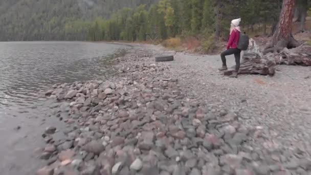 Młoda samotna kobieta na brzegu górskiego jeziora. Strzał drona. — Wideo stockowe