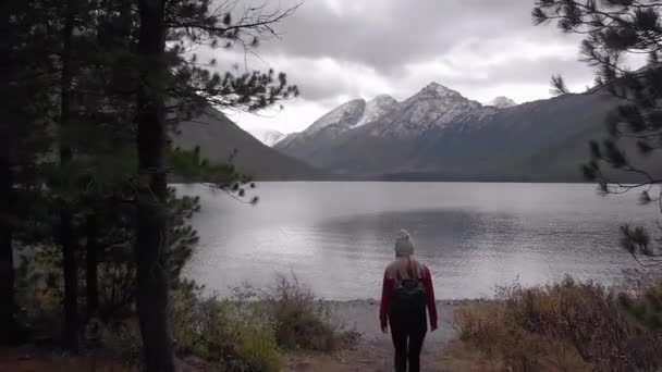 Jonge alleenstaande vrouw aan de oever van een bergmeer. Een drone schot.. — Stockvideo
