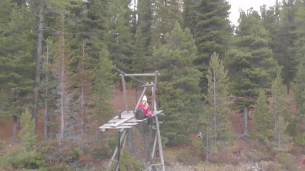 Junge Frau sitzt auf einem alten Steg am Ufer des Bergsees und trinkt — Stockvideo