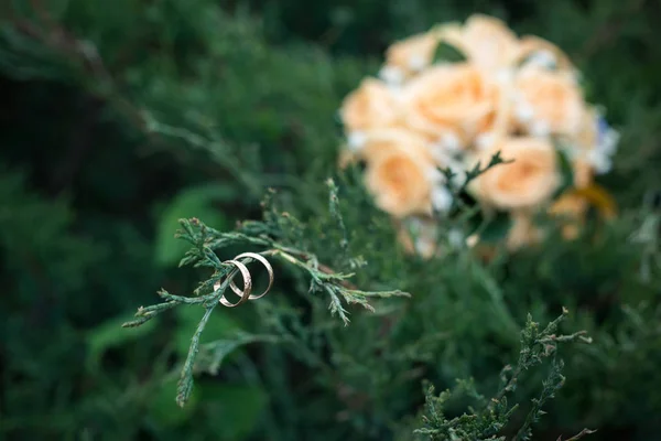 Δύο Χρυσά Δαχτυλίδια Γάμου Κρέμονται Πλάι Πλάι Ένα Κλαδί Του — Φωτογραφία Αρχείου