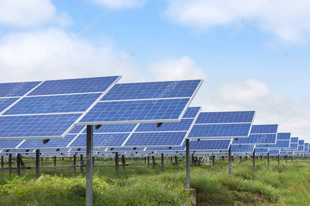                   Close up rows array of polycrystalline silicon solar cells or photovoltaics in solar power plant turn up skyward absorb the sunlight from the sun alternative renewable energy on blue sky 