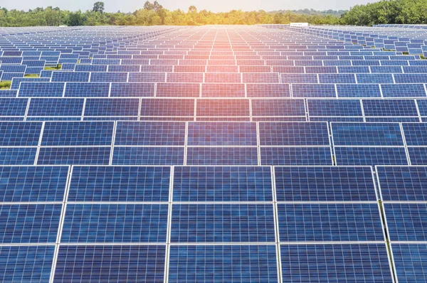 Close Rows Array Solar Cells Photovoltaics Solar Power Plant Turn — Stock Photo, Image