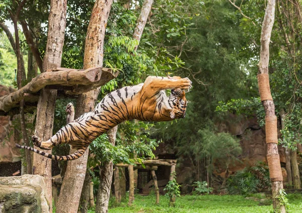 Голодные Бою Тигры Прыгают Обратном Направлении Примазать Пищу Воздухе — стоковое фото