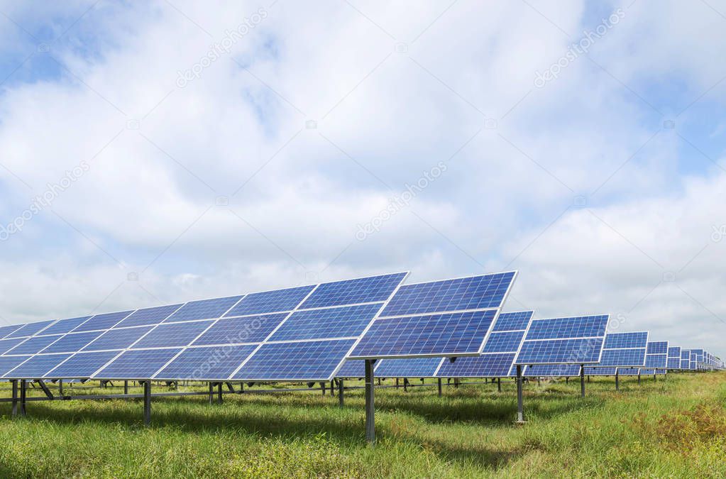 solar cells or photovoltaics in solar power plant turn up skyward absorb the sunlight from the sun 