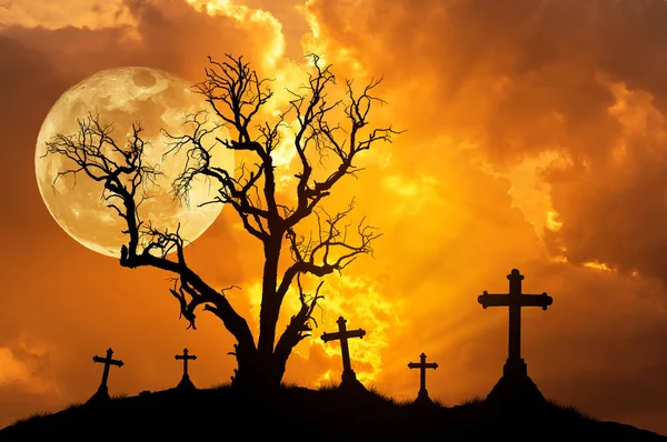 silhouette scary dead tree and silhouette spooky crosses in mystic graveyard  with big full moon. halloween concept background