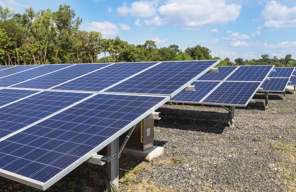 polycrystalline silicon solar cells or photovoltaic cells in solar power plant station turn up skyward absorb the sunlight from the sun alternative renewable energy from the sun on blue sky