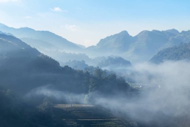 Sunrise yeşil beyaz sis ile sabah çay plantasyon 2000 Doi Ang khang Chiang Mai Tayland teraslı 