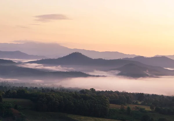 Landscape View Sunrise Fog Early Morning Top Hill Yun Lai — стоковое фото