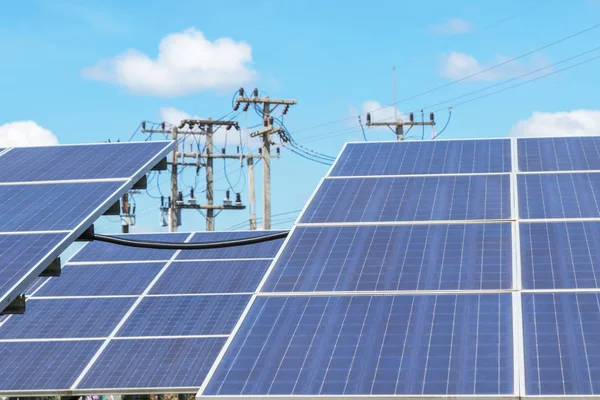 Close up rows array of Solar panels or solar cells or photovoltaics in solar power station is power production technology renewable green clean energy energy efficiency from the sun