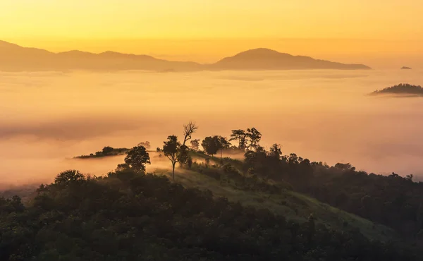 Vue Paysage Lever Soleil Avec Brouillard Tôt Matin Couverture Sur — Photo