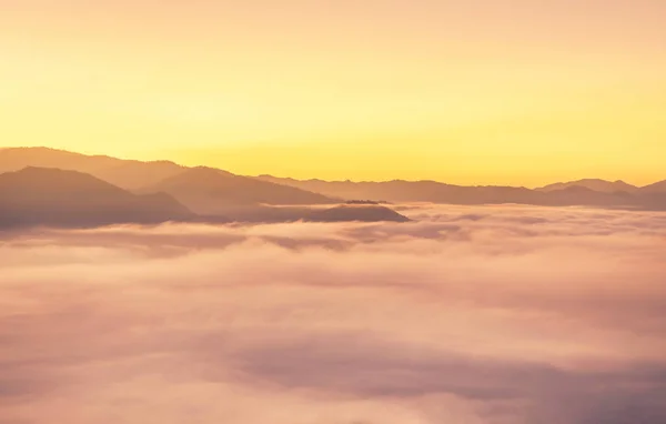 Alba Con Nebbia Copertina Mattina Presto Sulla Cima Della Collina Immagine Stock