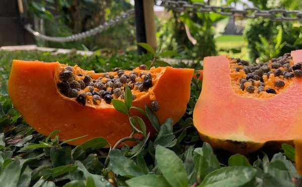 Healthy food papaya fruit closeup near green leaves — Stock Photo, Image