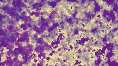 Soyut animasyon arkaplan, kusursuz döngü, sarı, mor, 4K.