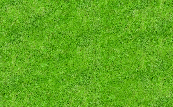 Grönt Gräs Fält Konsistens Bakgrund — Stockfoto