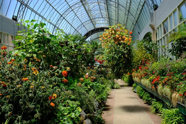 New Zealand Auckland - Domain Wintergardens greenhouse