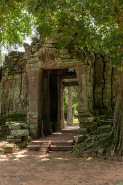 Taş Banteay Kdei Tapınağı girişine mahvetti