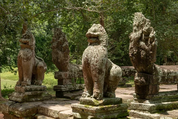 Quatre Statues Lion Serpent Dans Forêt — Photo