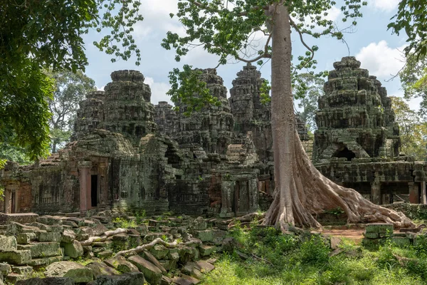 Achterkant Van Verwoeste Stenen Tempel Bos — Stockfoto