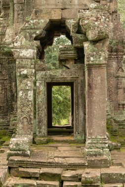 Orman harap tapınak girişi üzerinden görüntülemek