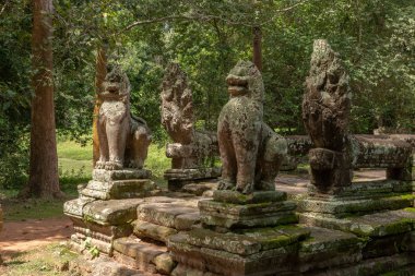 Taş aslan ve yılan Banteay Kdei koru