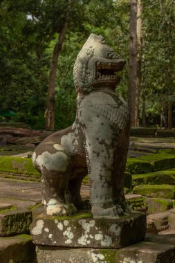 Ta Prohm girişi koruyan taş aslan