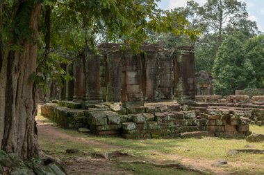 Harabeleri eski orman tapınakta taş