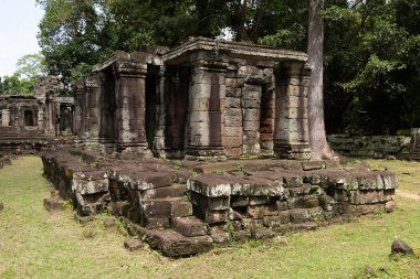 Ağaçlar Banteay Kdei Tapınağı kalıntıları