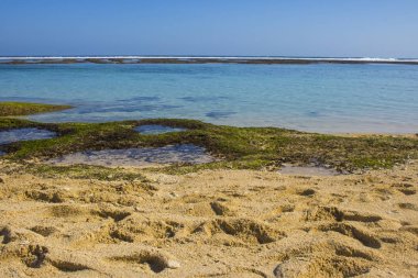 Beach view yaz tatil fotoğraf