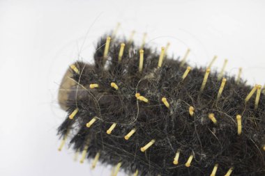 kirli tarak saç yakın makro ayrıntı ile