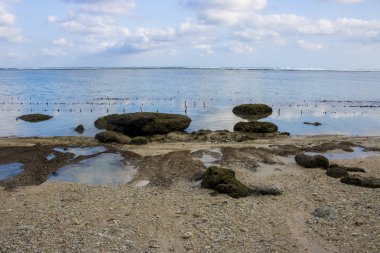 Beach view yaz tatil fotoğraf