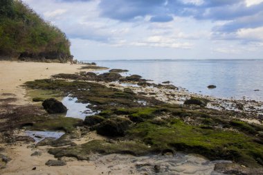 Beach view yaz tatil fotoğraf