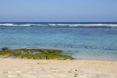 Beach view yaz tatil fotoğraf