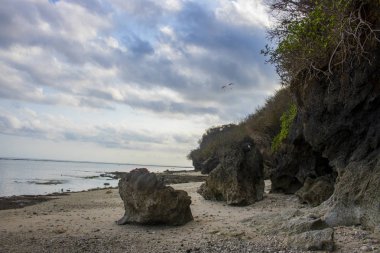 Beach view yaz tatil fotoğraf