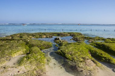Beach view yaz tatil fotoğraf