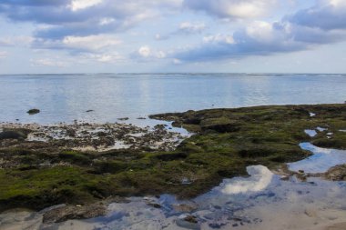 Beach view yaz tatil fotoğraf