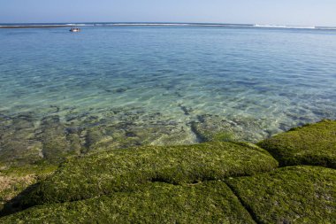 Beach view yaz tatil fotoğraf