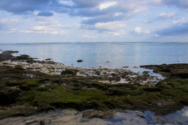 Beach view yaz tatil fotoğraf