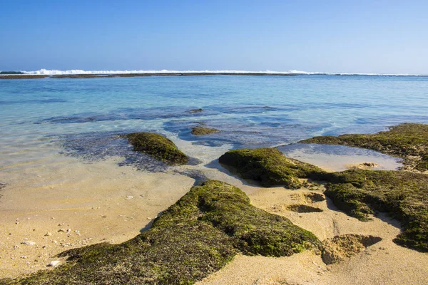 Beach view yaz tatil fotoğraf