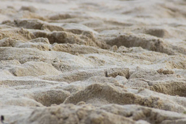 砂浜のマクロ写真をクローズ アップ — ストック写真