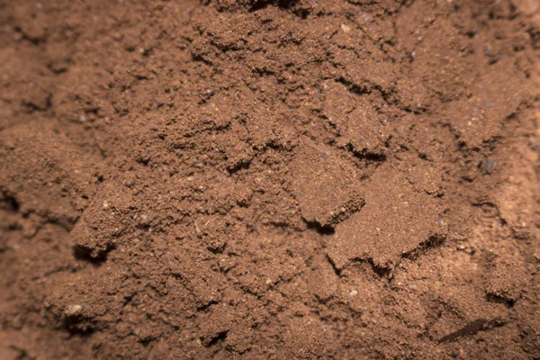 Freshly Ground Powder Roasted Coffee Brown Theme Background Photo Stock Image