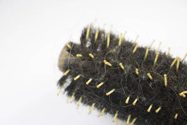 Dirty Comb Hair Close Macro Detail Stock Image