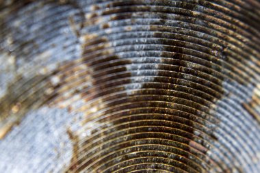 yağlı paslı kirli metal makro detay fotoğraf