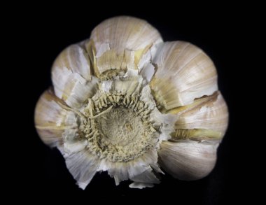 makro ayrıntı sarımsak siyah arka plan üzerine kapatın