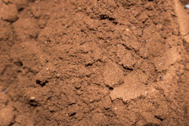 taze zemin toz kavrulmuş kahve kahverengi tema arka plan fotoğraf