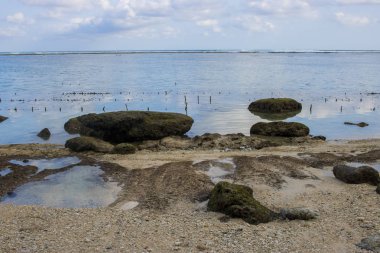 Beach view yaz tatil fotoğraf