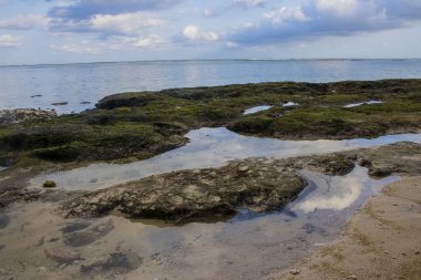 Beach view yaz tatil fotoğraf