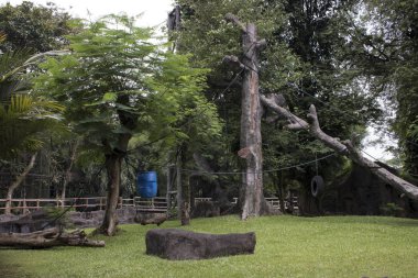 salıncak çim Bahçesi primat Hayvanat Bahçesi tesisi için